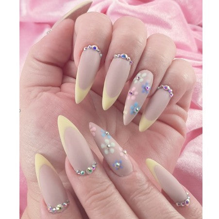 INT GEL COLOR POTS  - Browns/Neutrals